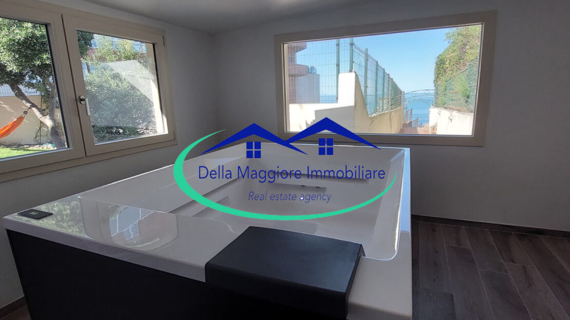 Immagine video