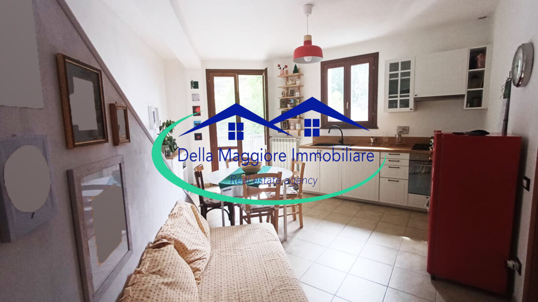 Immagine video