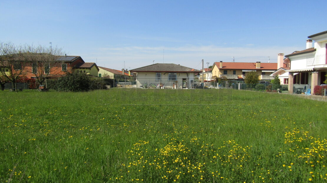 Immagine video