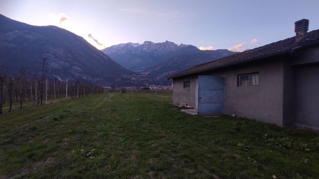 Immagine video