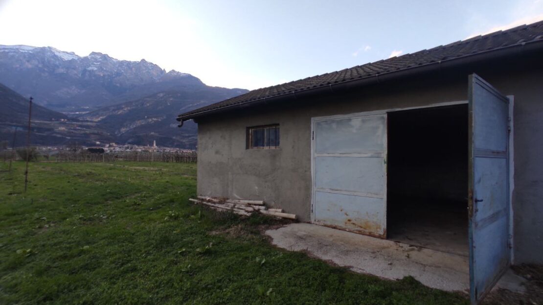 Immagine video