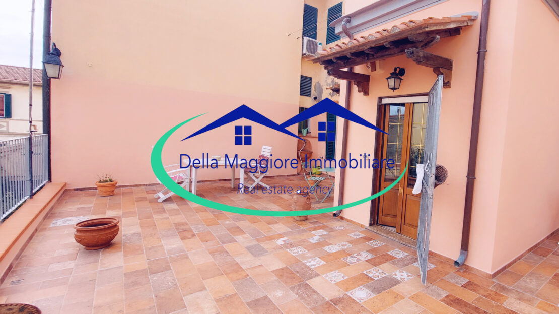 Immagine video