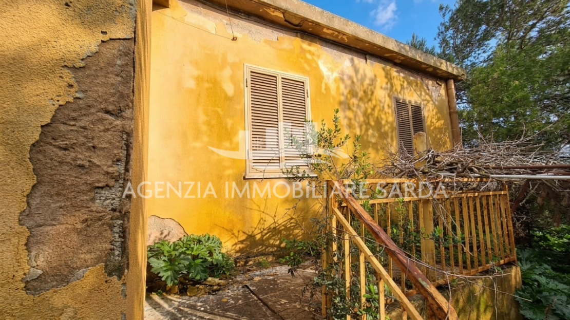 Immagine video