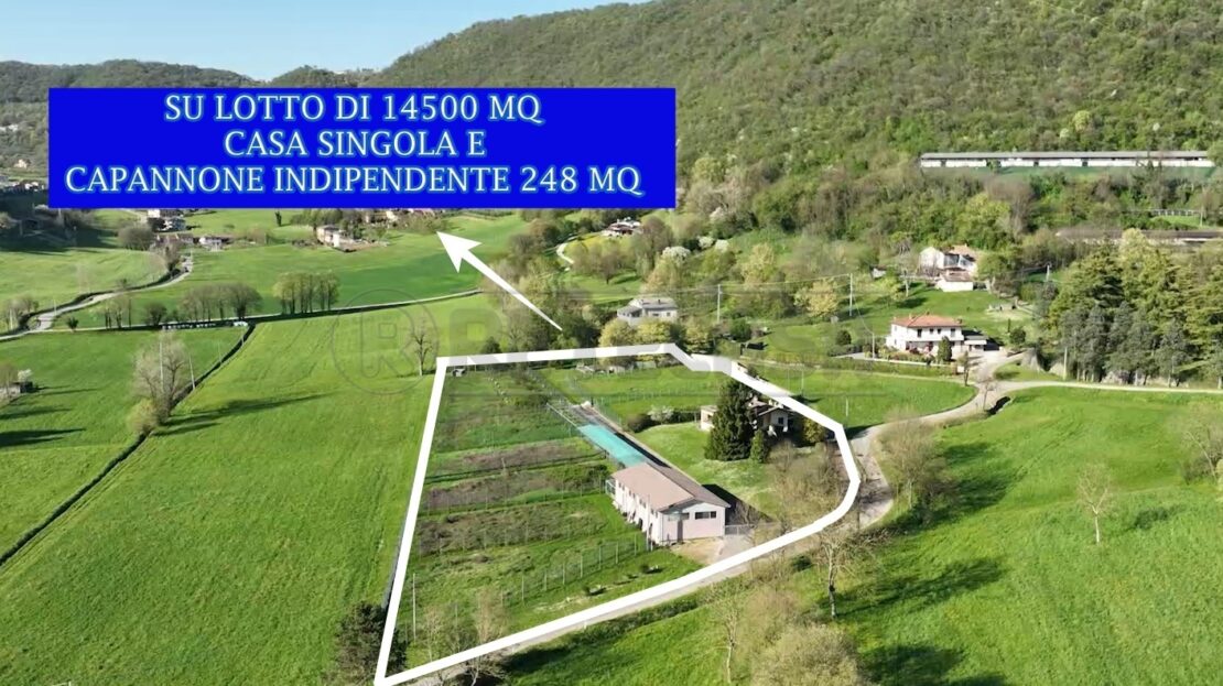 Immagine video