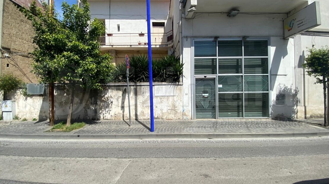 Immagine video