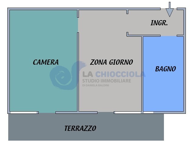 Immagine video