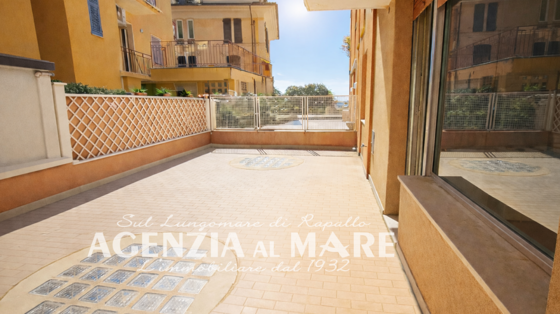 Immagine video
