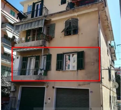 Immagine video