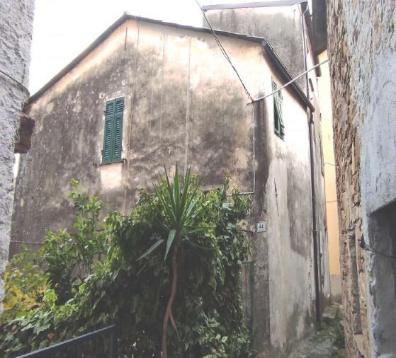 Immagine video