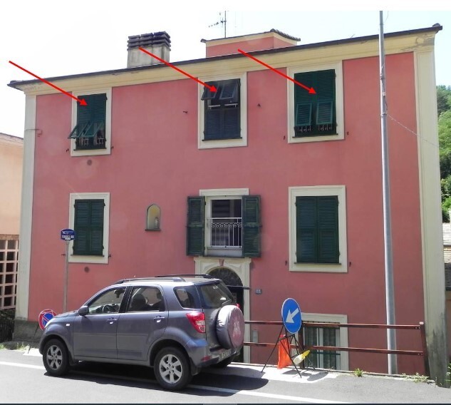 Immagine video