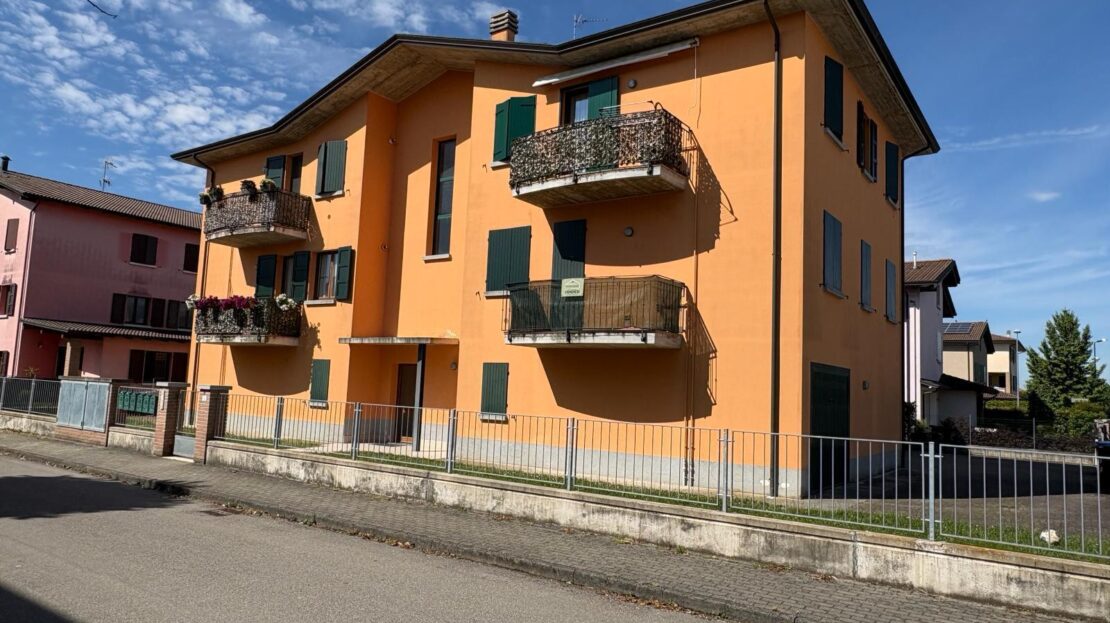 Immagine video