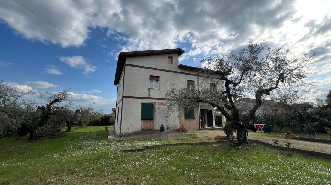 Immagine video