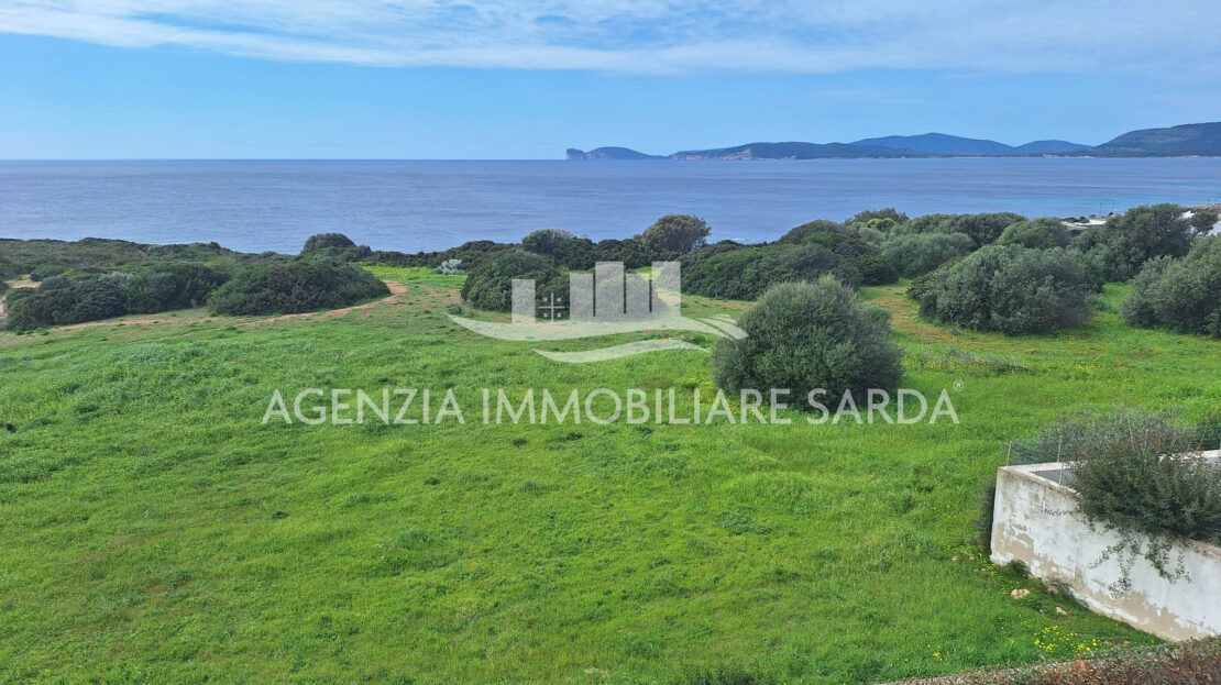 Immagine video
