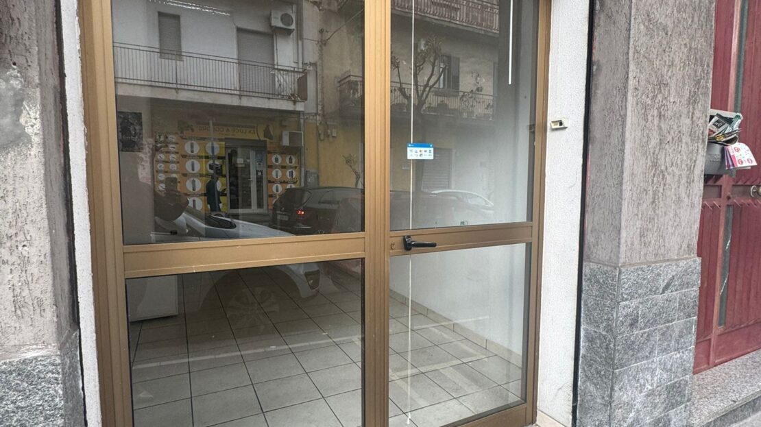 Immagine video