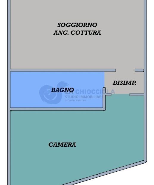 Immagine video