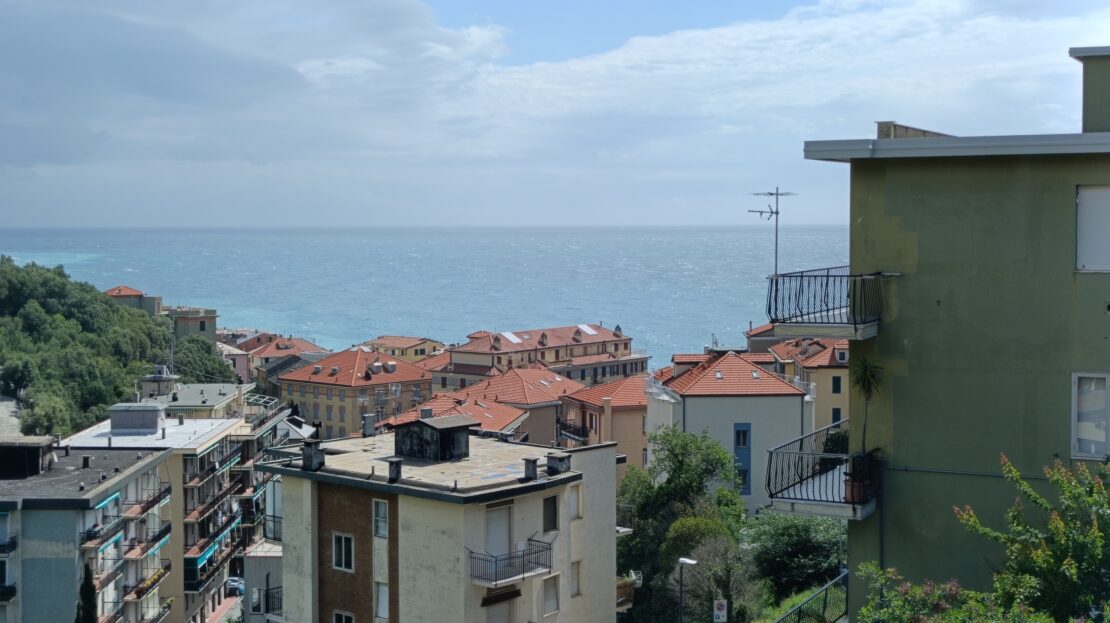 Immagine video