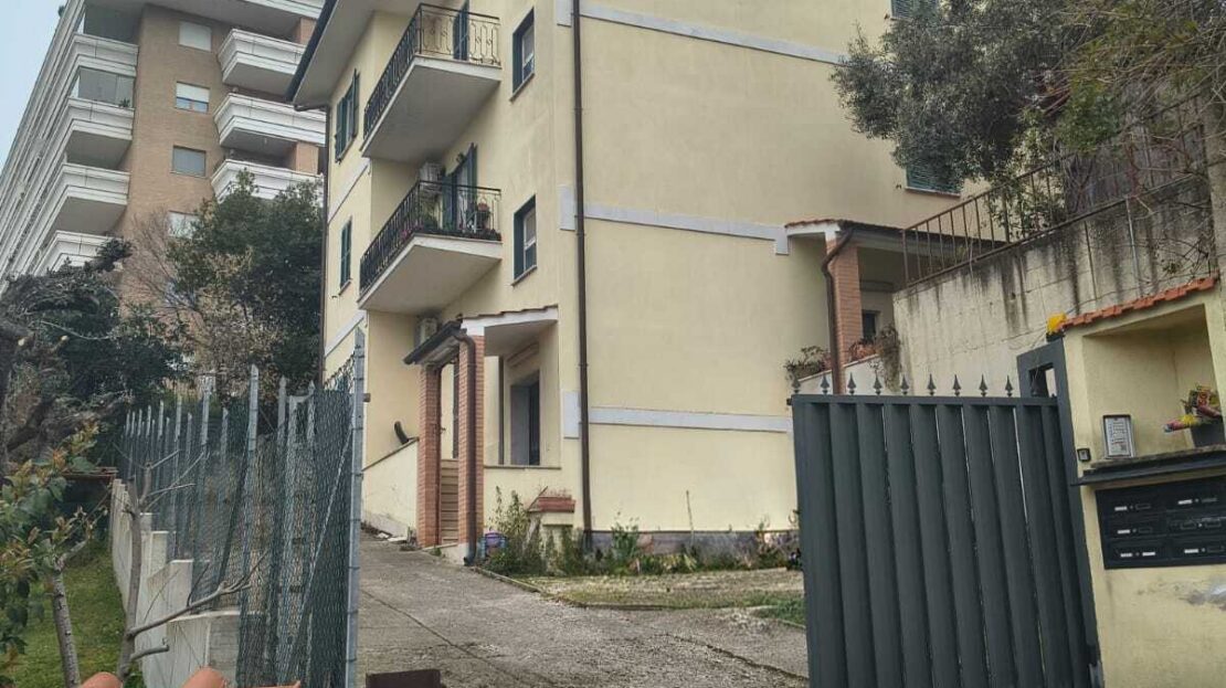 Immagine video