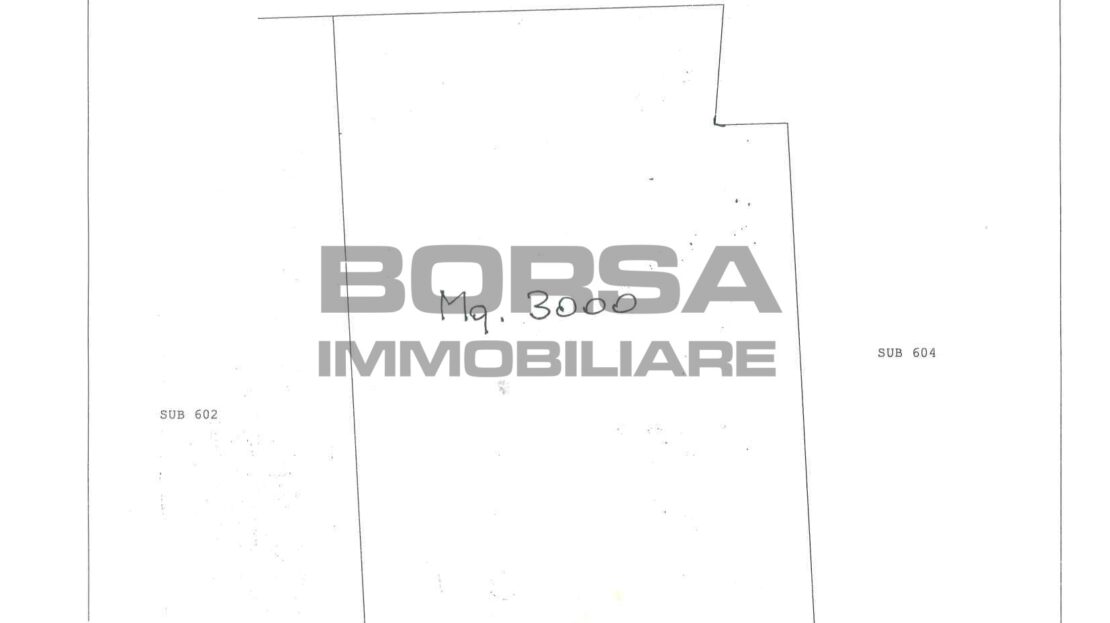 Immagine video