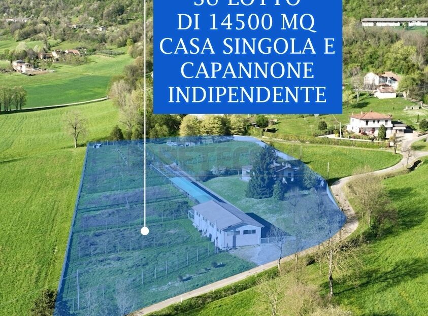 Immagine video