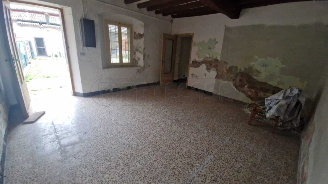 Immagine video