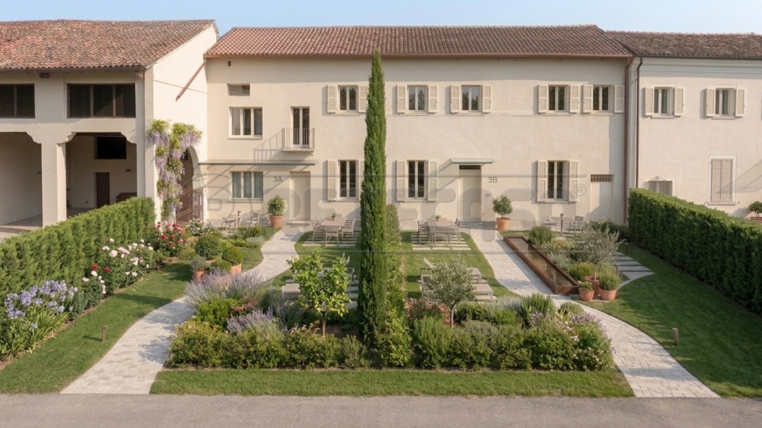 Immagine video