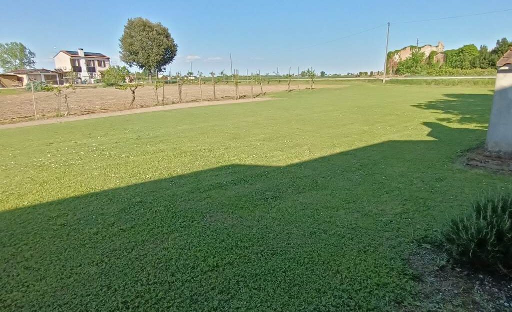 Immagine video
