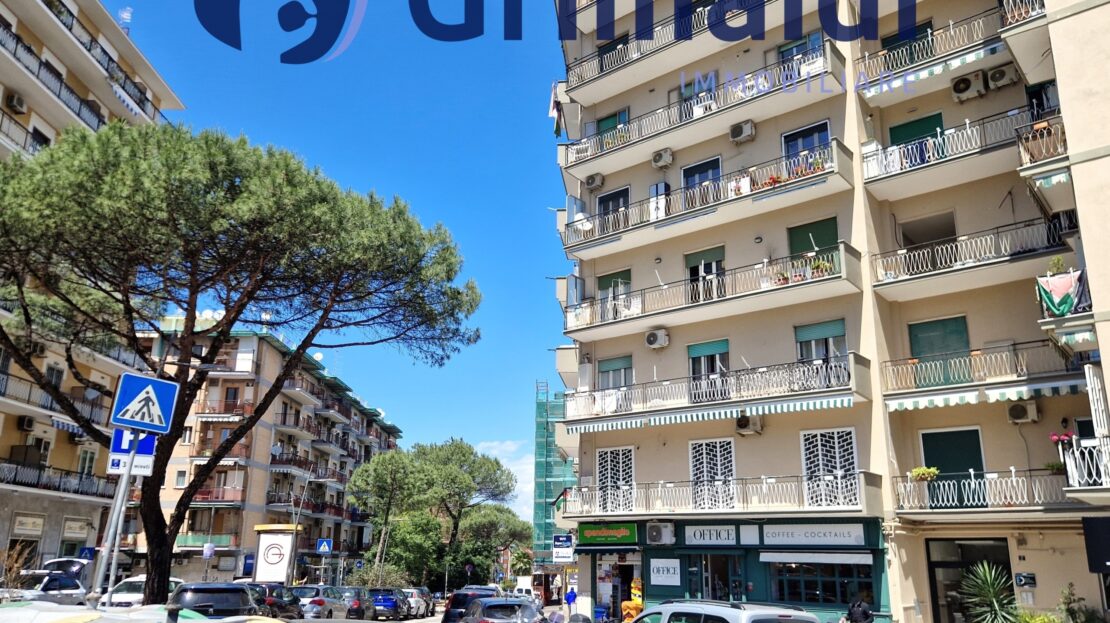 Immagine video