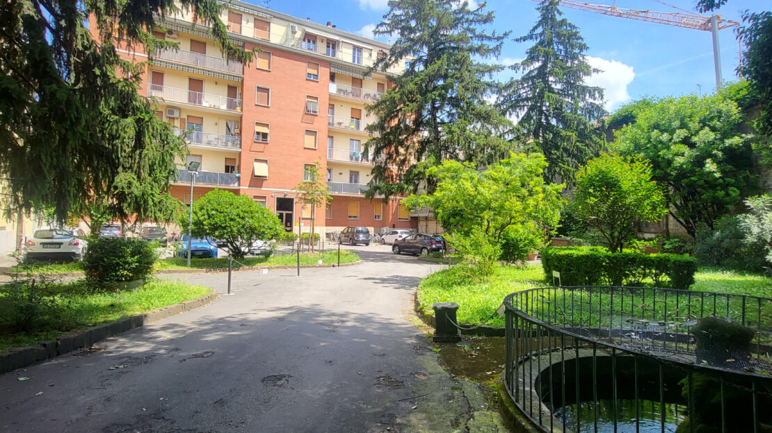 Immagine video