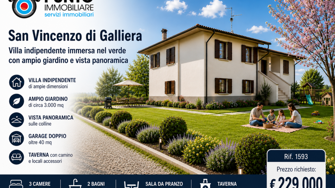 Immagine video