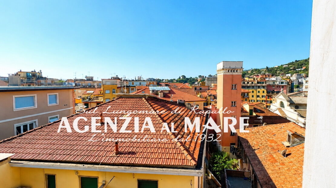 Immagine video