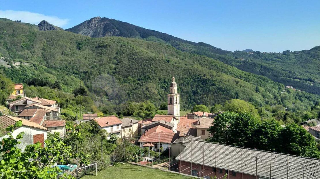Immagine video