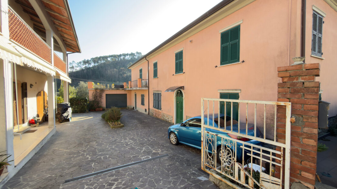 Immagine video