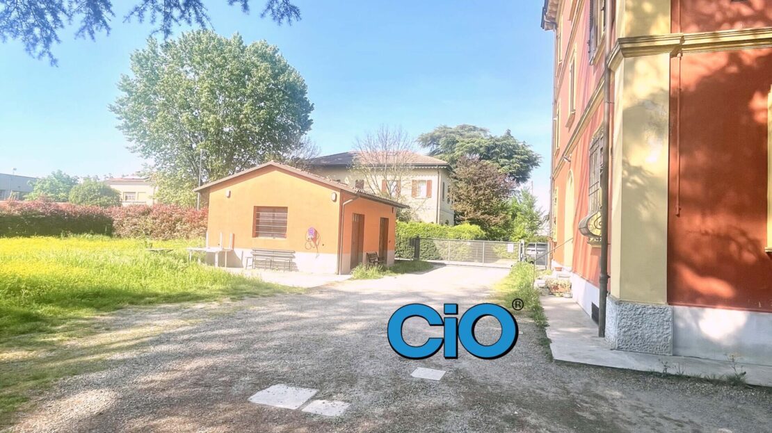 Immagine video