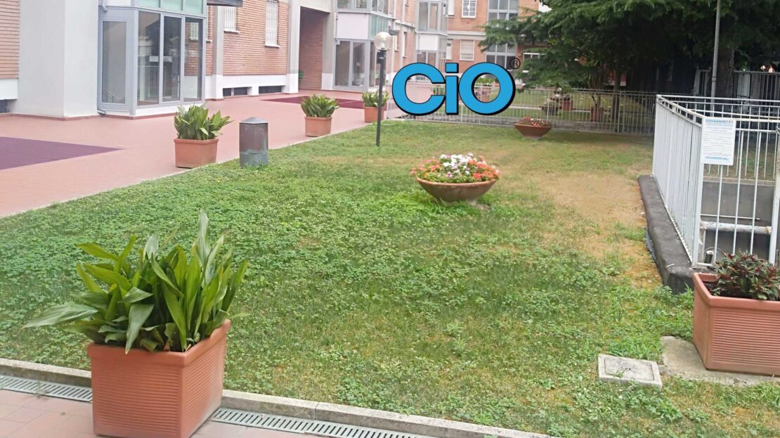 Immagine video