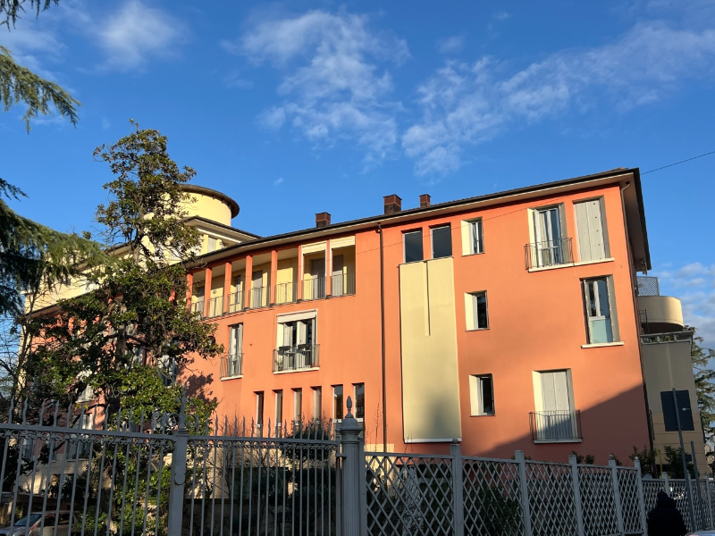 Immagine video