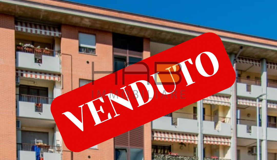 Immagine video