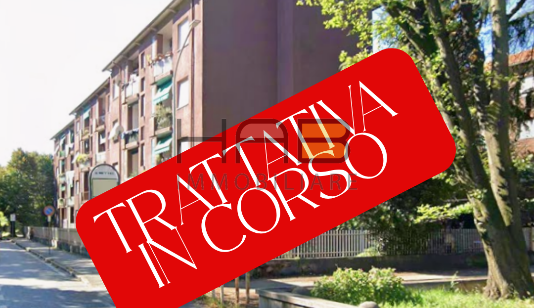 Immagine video