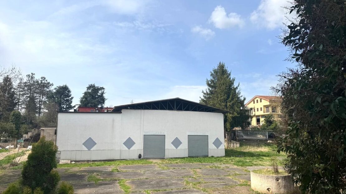 Immagine video
