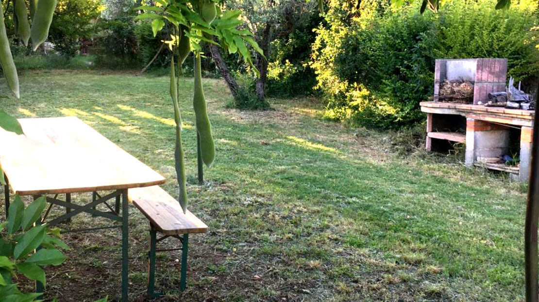 Immagine video