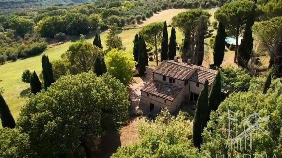Immagine video