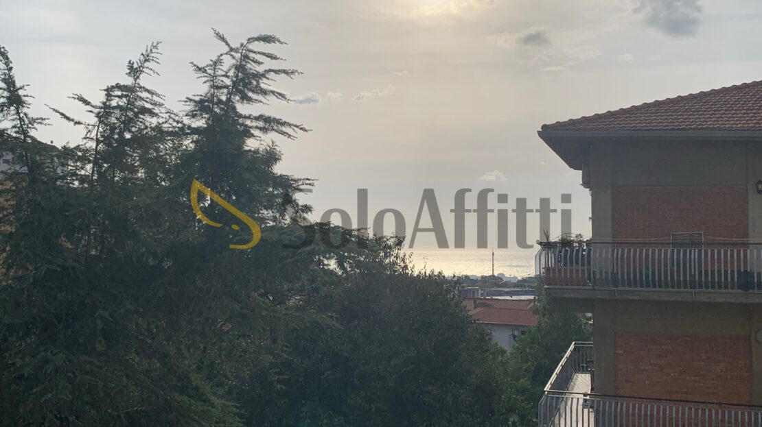 Immagine video