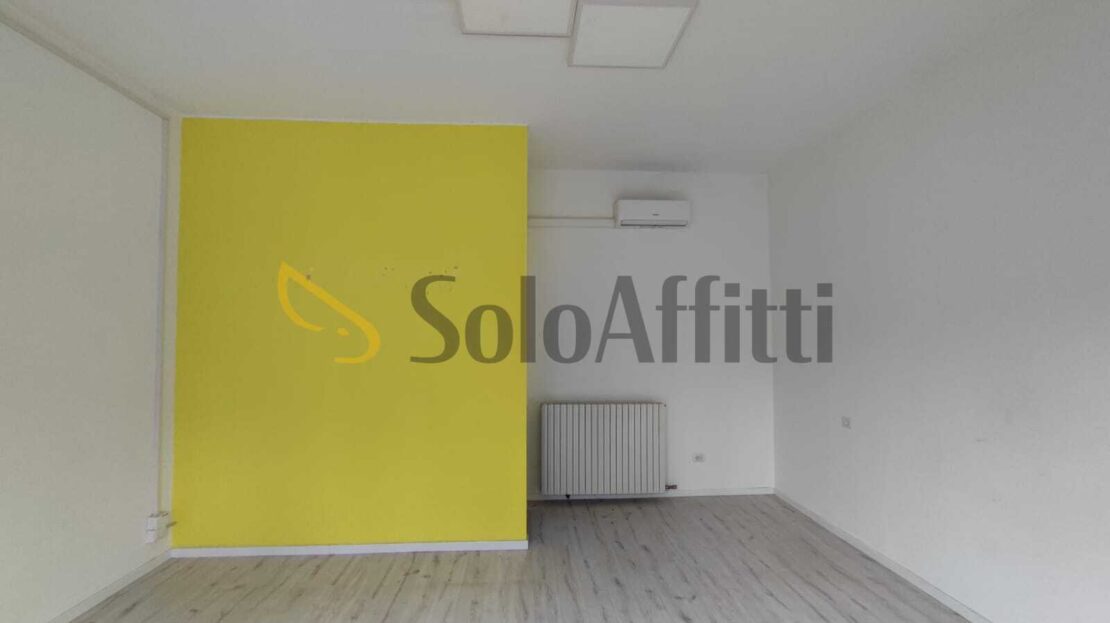 Immagine video