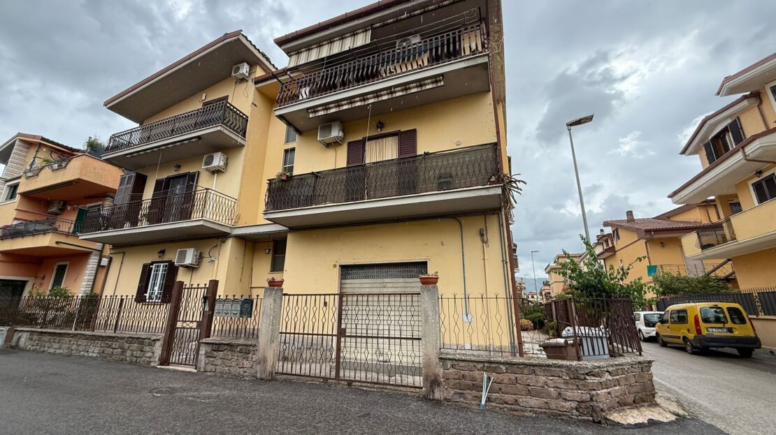 Immagine video