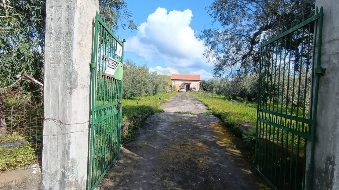 Immagine video