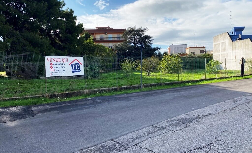 Immagine video