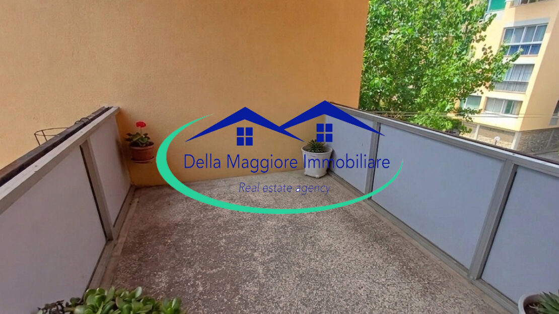 Immagine video