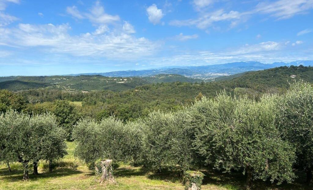 Immagine video