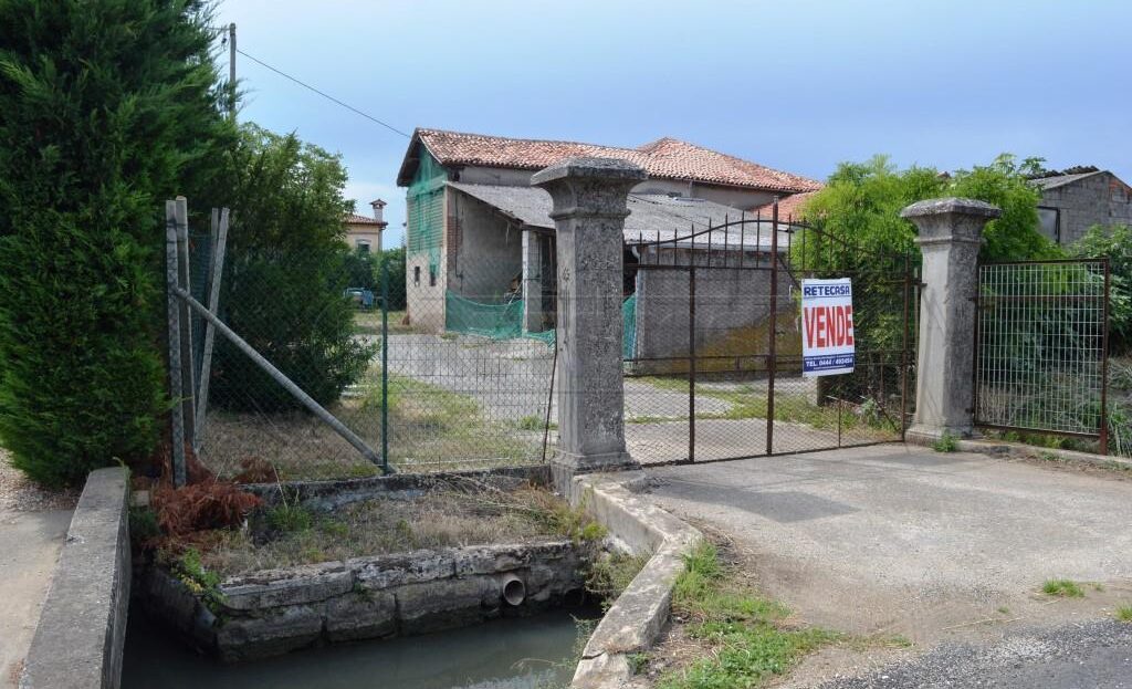 Immagine video