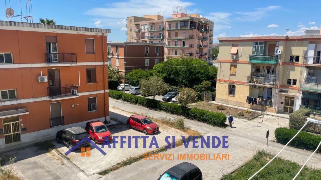 Immagine video