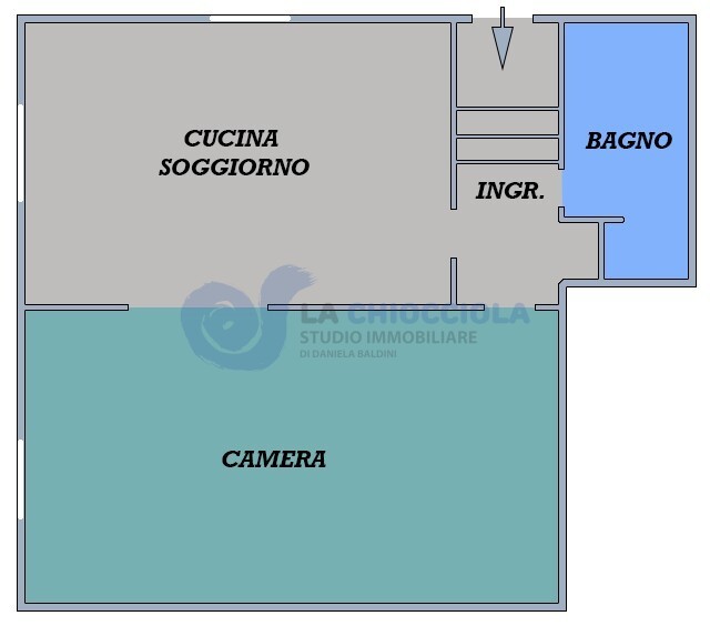 Immagine video